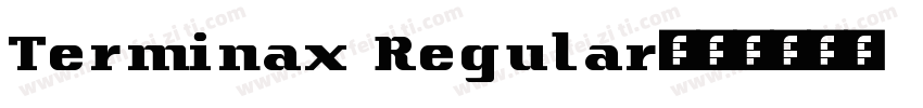 Terminax Regular字体转换